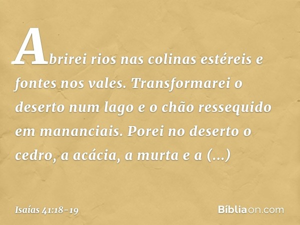 Abrirei rios nas colinas estéreis
e fontes nos vales.
Transformarei o deserto num lago
e o chão ressequido em mananciais. Porei no deserto o cedro,
a acácia, a