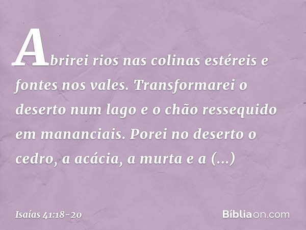 Abrirei rios nas colinas estéreis
e fontes nos vales.
Transformarei o deserto num lago
e o chão ressequido em mananciais. Porei no deserto o cedro,
a acácia, a 