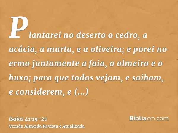 Plantarei no deserto o cedro, a acácia, a murta, e a oliveira; e porei no ermo juntamente a faia, o olmeiro e o buxo;para que todos vejam, e saibam, e considere