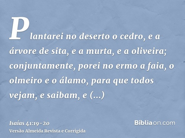 Plantarei no deserto o cedro, e a árvore de sita, e a murta, e a oliveira; conjuntamente, porei no ermo a faia, o olmeiro e o álamo,para que todos vejam, e saib