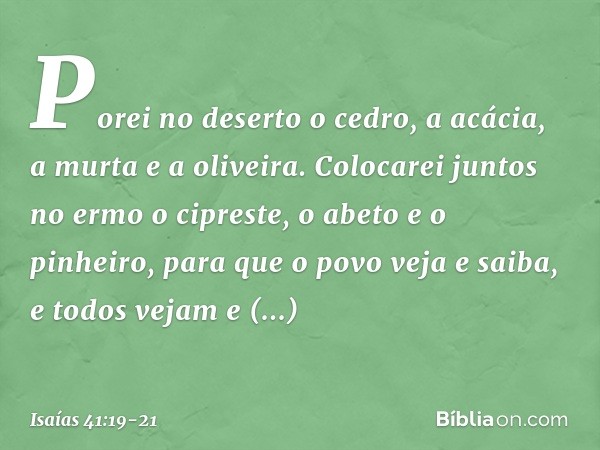 Porei no deserto o cedro,
a acácia, a murta e a oliveira.
Colocarei juntos no ermo
o cipreste, o abeto e o pinheiro, para que o povo veja e saiba,
e todos vejam