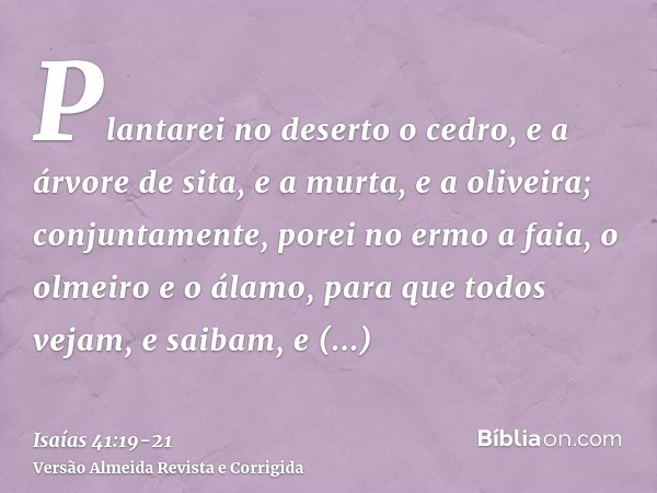 Plantarei no deserto o cedro, e a árvore de sita, e a murta, e a oliveira; conjuntamente, porei no ermo a faia, o olmeiro e o álamo,para que todos vejam, e saib