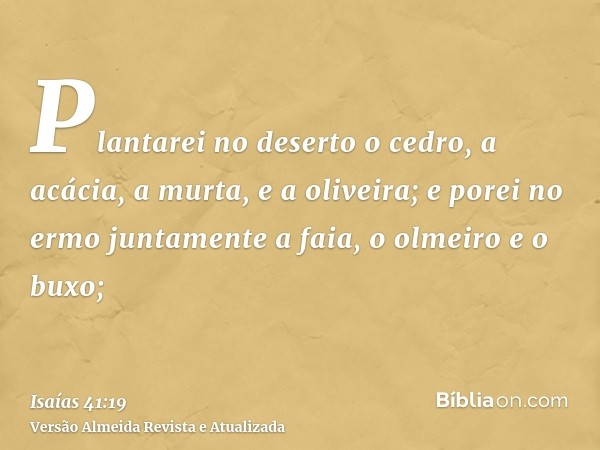 Plantarei no deserto o cedro, a acácia, a murta, e a oliveira; e porei no ermo juntamente a faia, o olmeiro e o buxo;