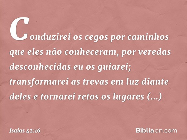 Conduzirei os cegos por caminhos
que eles não conheceram,
por veredas desconhecidas eu os guiarei;
transformarei as trevas em luz
diante deles
e tornarei retos 