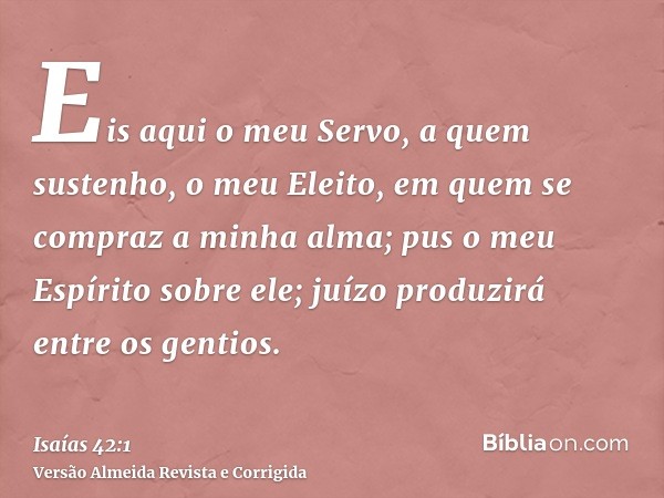 Eis aqui o meu Servo, a quem sustenho, o meu Eleito, em quem se compraz a minha alma; pus o meu Espírito sobre ele; juízo produzirá entre os gentios.