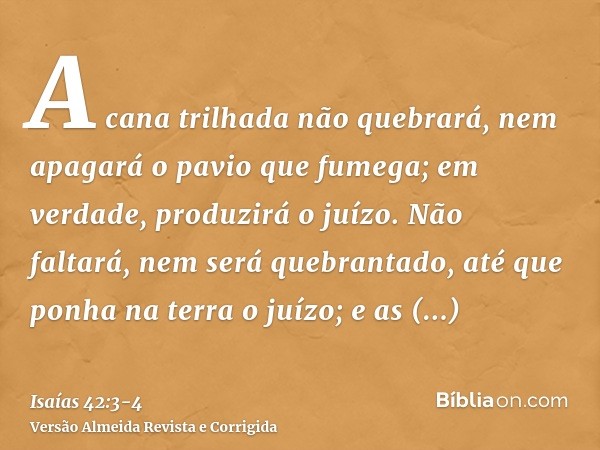 A cana trilhada não quebrará, nem apagará o pavio que fumega; em verdade, produzirá o juízo.Não faltará, nem será quebrantado, até que ponha na terra o juízo; e