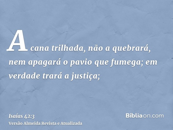 A cana trilhada, não a quebrará, nem apagará o pavio que fumega; em verdade trará a justiça;