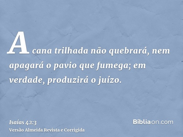 A cana trilhada não quebrará, nem apagará o pavio que fumega; em verdade, produzirá o juízo.