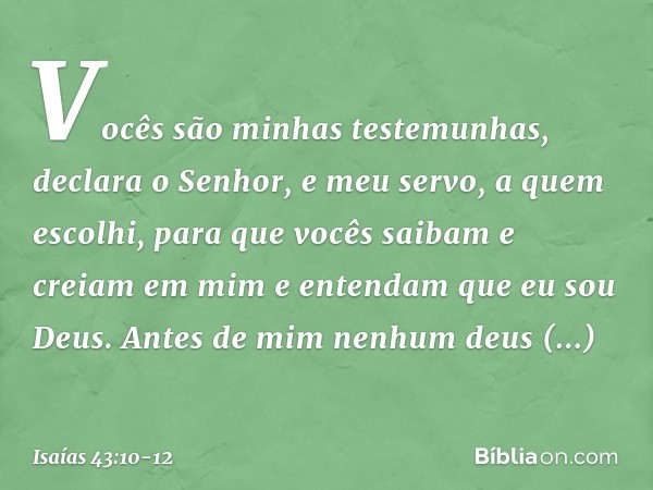"Vocês são minhas testemunhas",
declara o Senhor,
"e meu servo, a quem escolhi,
para que vocês saibam e creiam em mim
e entendam que eu sou Deus.
Antes de mim n