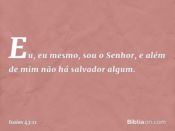 Eu, eu mesmo, sou o Senhor,
e além de mim não há salvador algum. -- Isaías 43:11