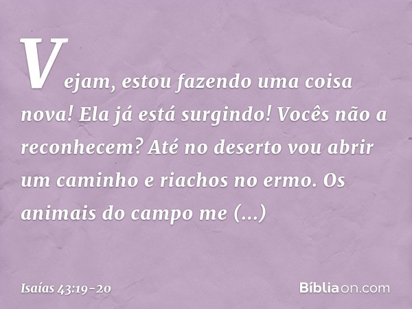 Vejam, estou fazendo uma coisa nova!
Ela já está surgindo! Vocês não a reconhecem?
Até no deserto vou abrir um caminho
e riachos no ermo. Os animais do campo me