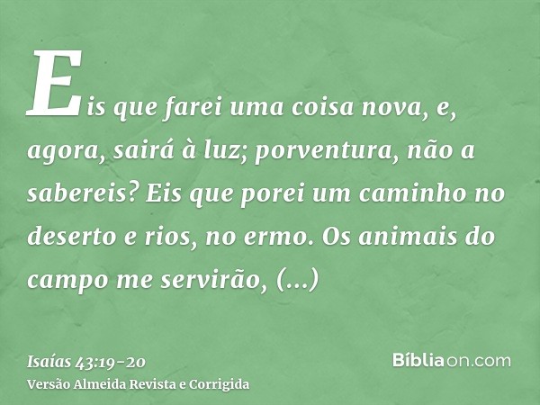 Eis que farei uma coisa nova, e, agora, sairá à luz; porventura, não a sabereis? Eis que porei um caminho no deserto e rios, no ermo.Os animais do campo me serv