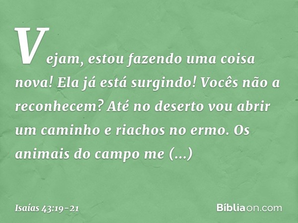 Vejam, estou fazendo uma coisa nova!
Ela já está surgindo! Vocês não a reconhecem?
Até no deserto vou abrir um caminho
e riachos no ermo. Os animais do campo me