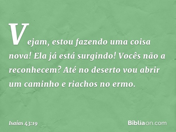 Vejam, estou fazendo uma coisa nova!
Ela já está surgindo! Vocês não a reconhecem?
Até no deserto vou abrir um caminho
e riachos no ermo. -- Isaías 43:19