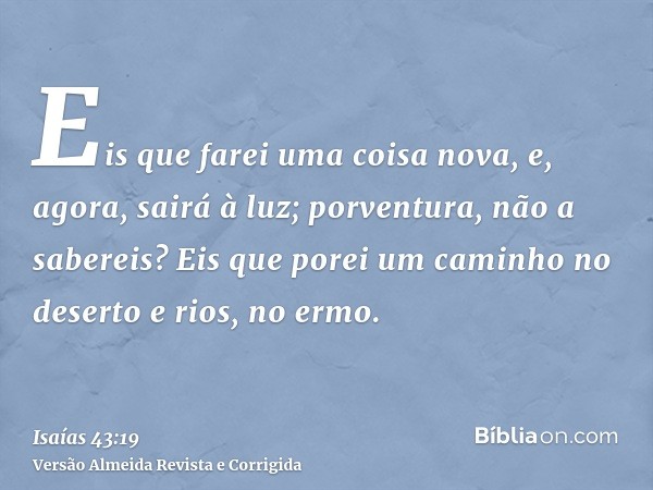 Eis que farei uma coisa nova, e, agora, sairá à luz; porventura, não a sabereis? Eis que porei um caminho no deserto e rios, no ermo.