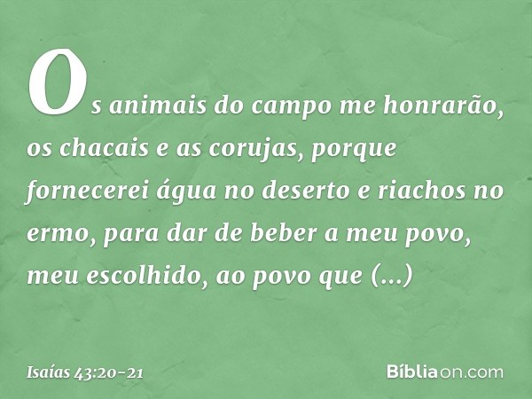 Os animais do campo me honrarão,
os chacais e as corujas,
porque fornecerei água no deserto
e riachos no ermo,
para dar de beber a meu povo,
meu escolhido, ao p