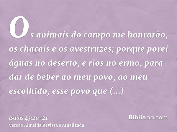 Os animais do campo me honrarão, os chacais e os avestruzes; porque porei águas no deserto, e rios no ermo, para dar de beber ao meu povo, ao meu escolhido,esse