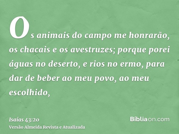 Os animais do campo me honrarão, os chacais e os avestruzes; porque porei águas no deserto, e rios no ermo, para dar de beber ao meu povo, ao meu escolhido,