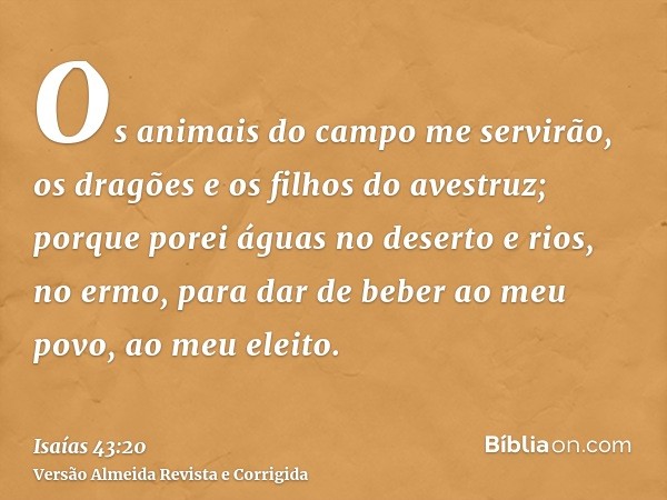 Os animais do campo me servirão, os dragões e os filhos do avestruz; porque porei águas no deserto e rios, no ermo, para dar de beber ao meu povo, ao meu eleito