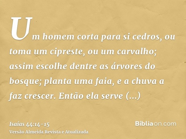 Um homem corta para si cedros, ou toma um cipreste, ou um carvalho; assim escolhe dentre as árvores do bosque; planta uma faia, e a chuva a faz crescer.Então el