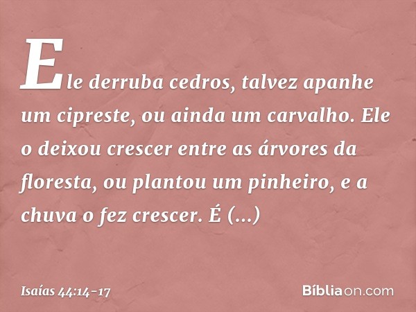 Ele derruba cedros,
talvez apanhe um cipreste,
ou ainda um carvalho.
Ele o deixou crescer entre
as árvores da floresta,
ou plantou um pinheiro,
e a chuva o fez 