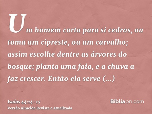 Um homem corta para si cedros, ou toma um cipreste, ou um carvalho; assim escolhe dentre as árvores do bosque; planta uma faia, e a chuva a faz crescer.Então el