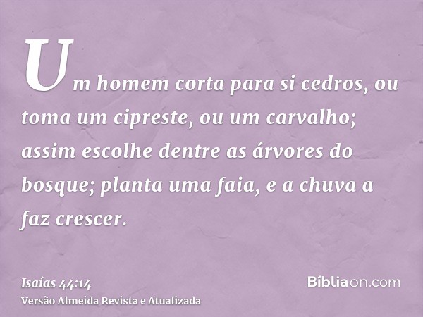 Um homem corta para si cedros, ou toma um cipreste, ou um carvalho; assim escolhe dentre as árvores do bosque; planta uma faia, e a chuva a faz crescer.