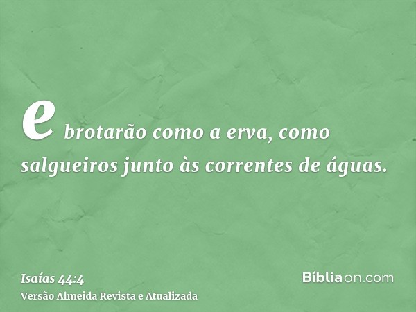 e brotarão como a erva, como salgueiros junto às correntes de águas.