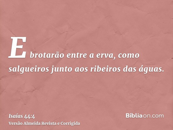 E brotarão entre a erva, como salgueiros junto aos ribeiros das águas.
