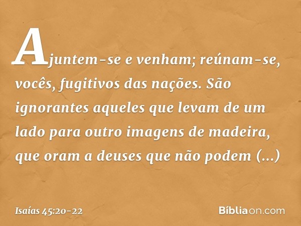 "Ajuntem-se e venham; reúnam-se,
vocês, fugitivos das nações.
São ignorantes aqueles que levam
de um lado para outro
imagens de madeira,
que oram a deuses que n