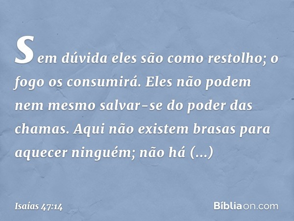 sem dúvida eles são como restolho;
o fogo os consumirá.
Eles não podem nem mesmo salvar-se
do poder das chamas.
Aqui não existem brasas
para aquecer ninguém;
nã