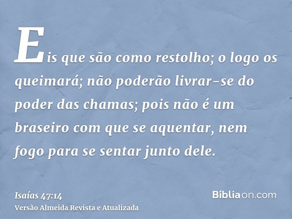 Eis que são como restolho; o logo os queimará; não poderão livrar-se do poder das chamas; pois não é um braseiro com que se aquentar, nem fogo para se sentar ju