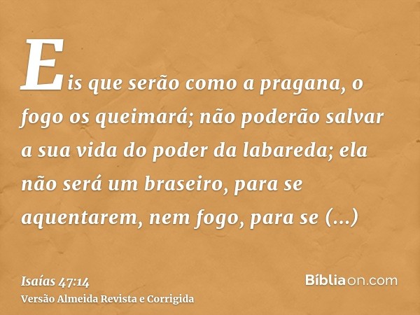 Eis que serão como a pragana, o fogo os queimará; não poderão salvar a sua vida do poder da labareda; ela não será um braseiro, para se aquentarem, nem fogo, pa