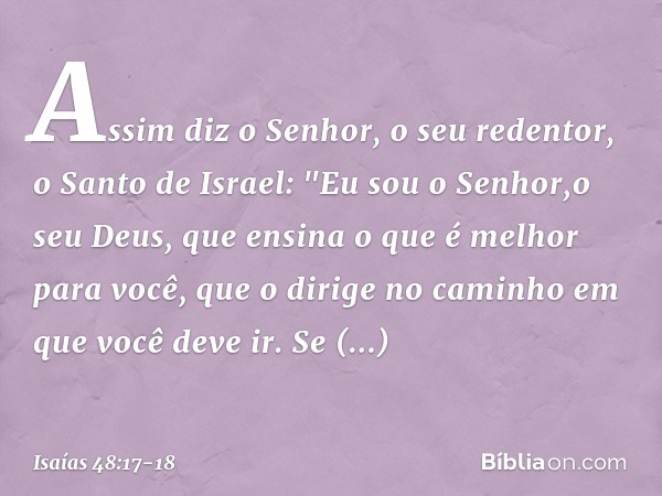 Assim diz o Senhor, o seu redentor,
o Santo de Israel:
"Eu sou o Senhor,o seu Deus,
que ensina o que é melhor para você,
que o dirige no caminho
em que você dev