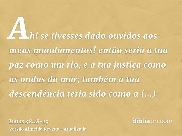 Ah! se tivesses dado ouvidos aos meus mandamentos! então seria a tua paz como um rio, e a tua justiça como as ondas do mar;também a tua descendência teria sido 