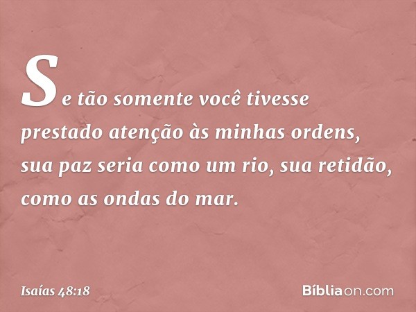 Se tão somente você tivesse
prestado atenção às minhas ordens,
sua paz seria como um rio,
sua retidão, como as ondas do mar. -- Isaías 48:18