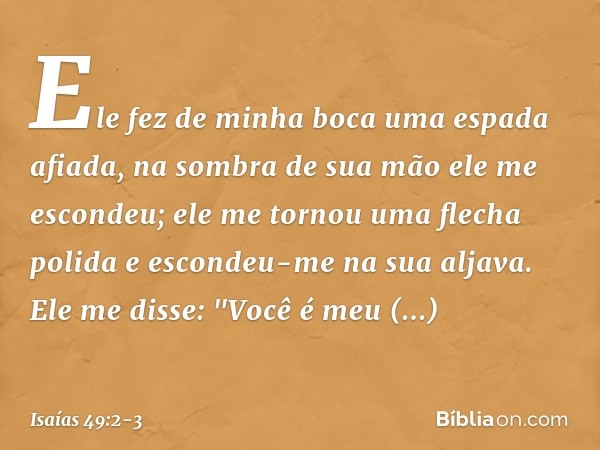 Ele fez de minha boca
uma espada afiada,
na sombra de sua mão ele me escondeu;
ele me tornou uma flecha polida
e escondeu-me na sua aljava. Ele me disse: "Você 