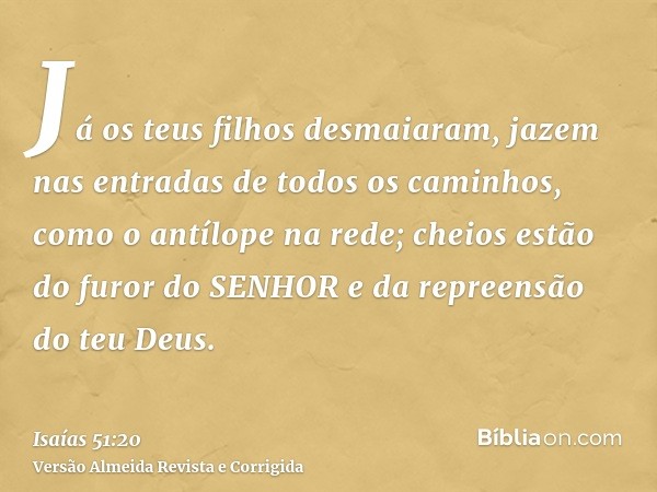 Já os teus filhos desmaiaram, jazem nas entradas de todos os caminhos, como o antílope na rede; cheios estão do furor do SENHOR e da repreensão do teu Deus.