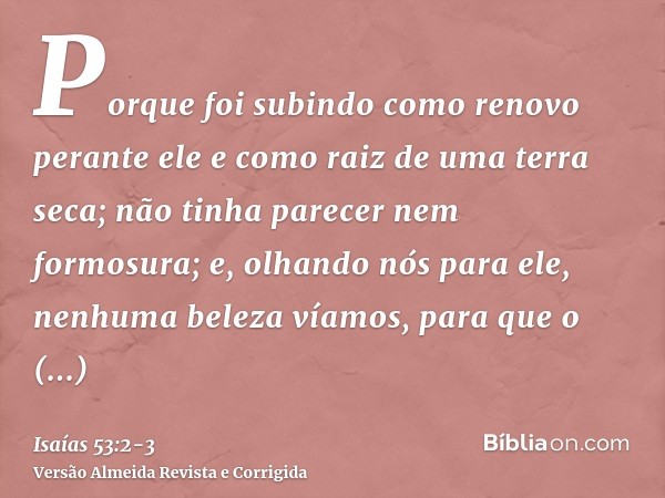 Porque foi subindo como renovo perante ele e como raiz de uma terra seca; não tinha parecer nem formosura; e, olhando nós para ele, nenhuma beleza víamos, para 