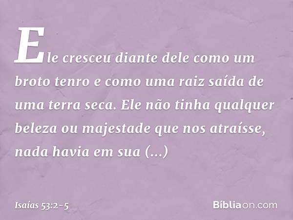 Ele cresceu diante dele
como um broto tenro
e como uma raiz saída de uma terra seca.
Ele não tinha qualquer beleza
ou majestade que nos atraísse,
nada havia em