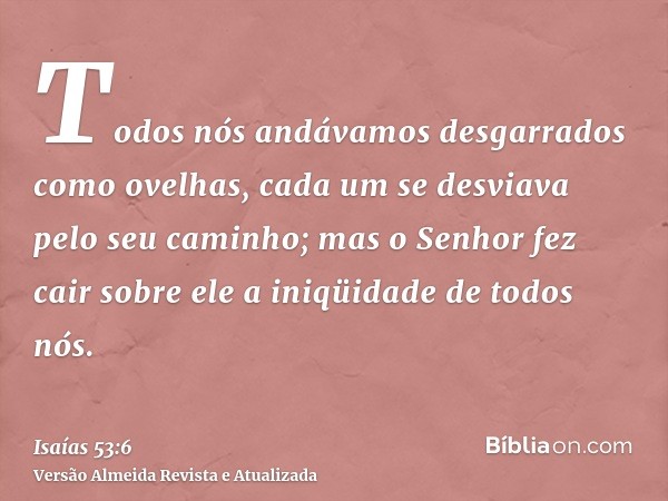 Todos nós andávamos desgarrados como ovelhas, cada um se desviava pelo seu caminho; mas o Senhor fez cair sobre ele a iniqüidade de todos nós.