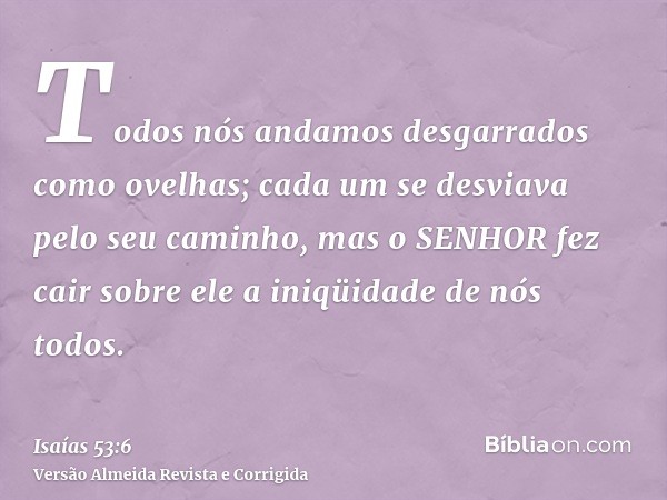 Todos nós andamos desgarrados como ovelhas; cada um se desviava pelo seu caminho, mas o SENHOR fez cair sobre ele a iniqüidade de nós todos.