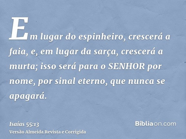 Em lugar do espinheiro, crescerá a faia, e, em lugar da sarça, crescerá a murta; isso será para o SENHOR por nome, por sinal eterno, que nunca se apagará.