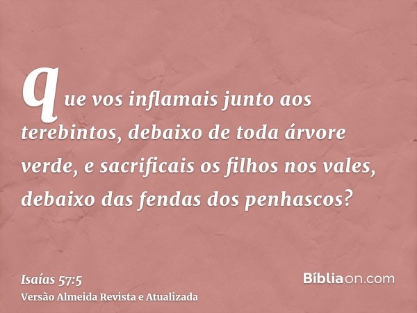 que vos inflamais junto aos terebintos, debaixo de toda árvore verde, e sacrificais os filhos nos vales, debaixo das fendas dos penhascos?