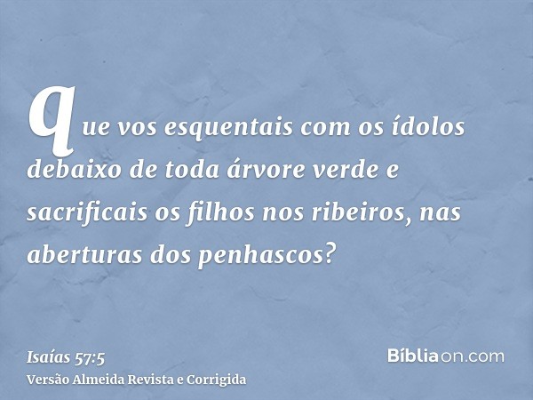 que vos esquentais com os ídolos debaixo de toda árvore verde e sacrificais os filhos nos ribeiros, nas aberturas dos penhascos?