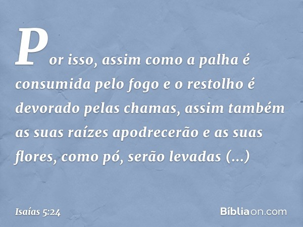 Por isso, assim como a palha
é consumida pelo fogo
e o restolho é devorado pelas chamas,
assim também as suas raízes apodrecerão
e as suas flores, como pó,
serã