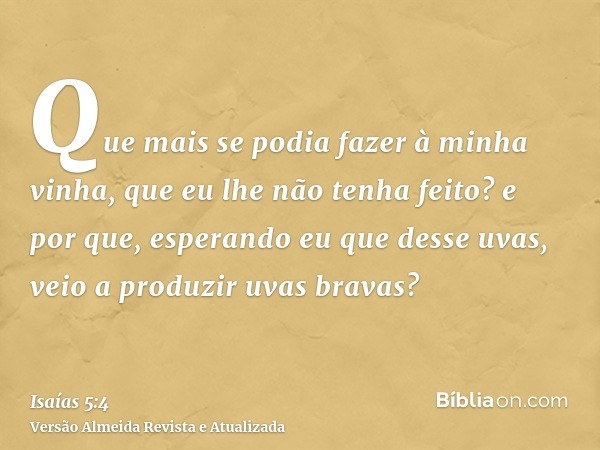 Que mais se podia fazer à minha vinha, que eu lhe não tenha feito? e por que, esperando eu que desse uvas, veio a produzir uvas bravas?