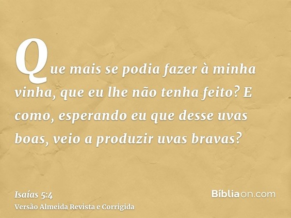 Que mais se podia fazer à minha vinha, que eu lhe não tenha feito? E como, esperando eu que desse uvas boas, veio a produzir uvas bravas?