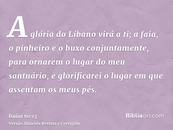 A glória do Líbano virá a ti; a faia, o pinheiro e o buxo conjuntamente, para ornarem o lugar do meu santuário, e glorificarei o lugar em que assentam os meus p