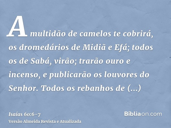 A multidão de camelos te cobrirá, os dromedários de Midiã e Efá; todos os de Sabá, virão; trarão ouro e incenso, e publicarão os louvores do Senhor.Todos os reb